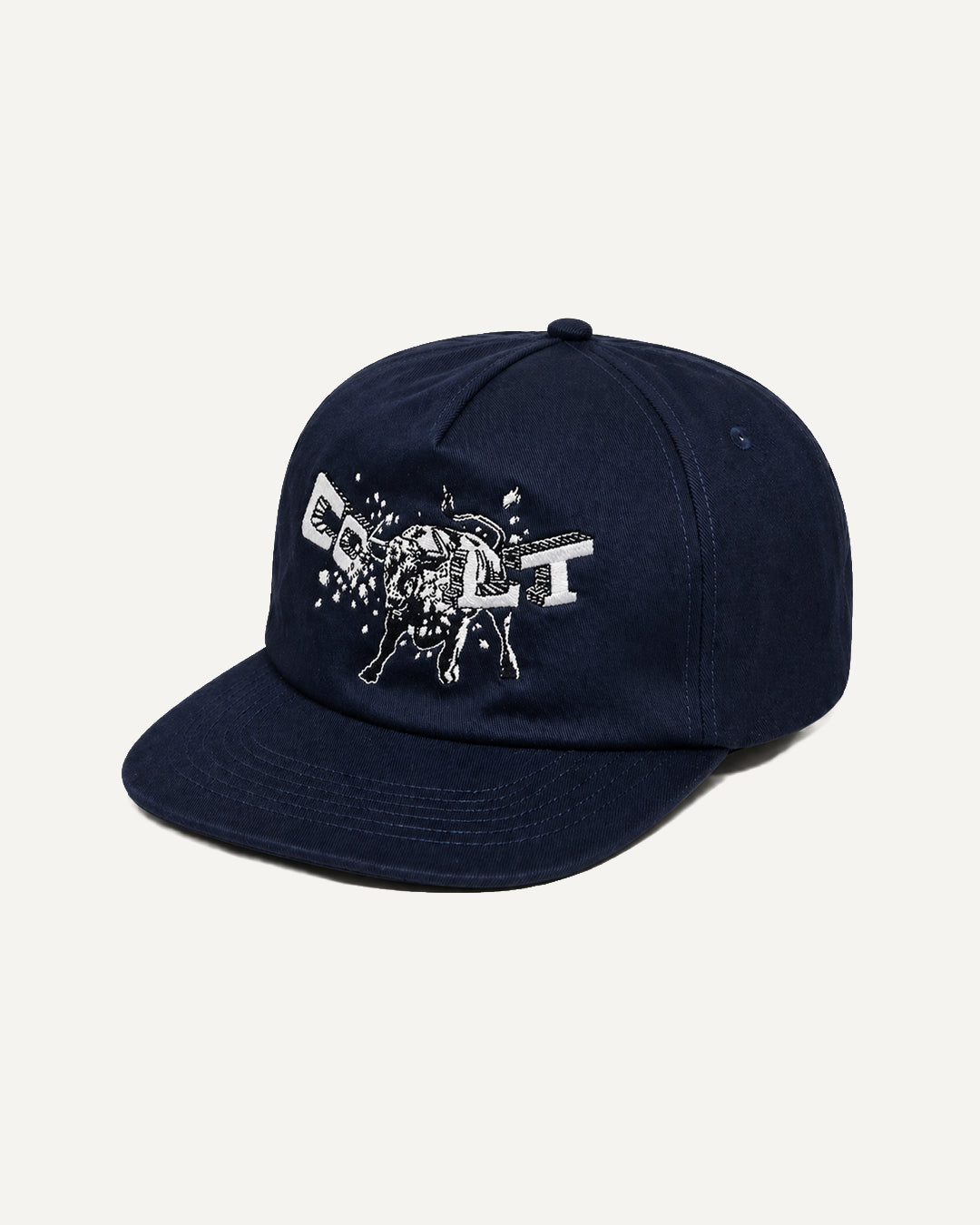 Bull Run 5 Panel